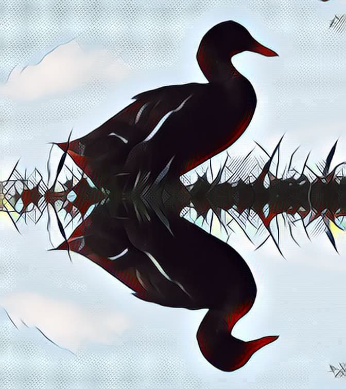 Discover the Artistry of Nature and Creativity